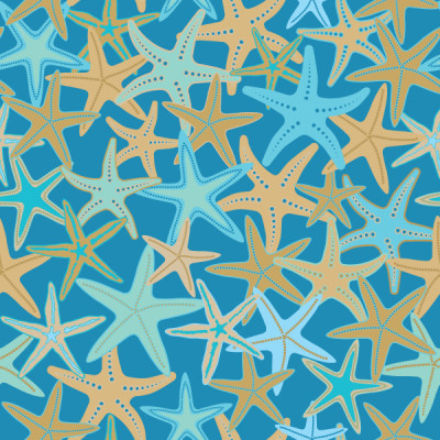 Beach Starfish