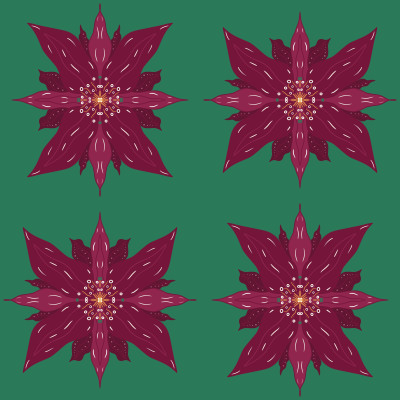 Christmas star flower