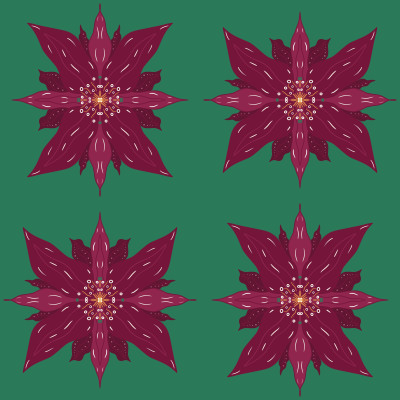 Christmas star flower