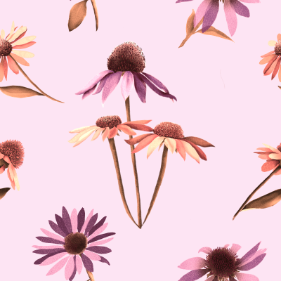 Cone Flower Pink