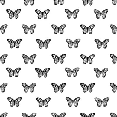 Butterfly Black and White Large