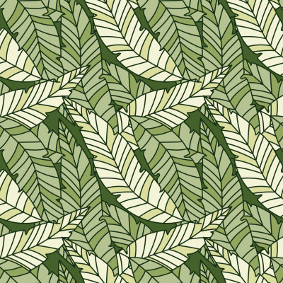 linear tropical