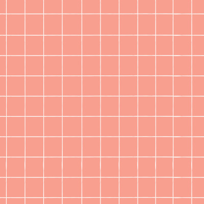 Boho Happiness Blooms Pink Grid