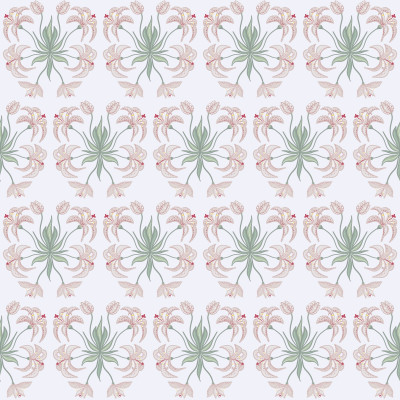 Light pink garden lilies spring floral on white