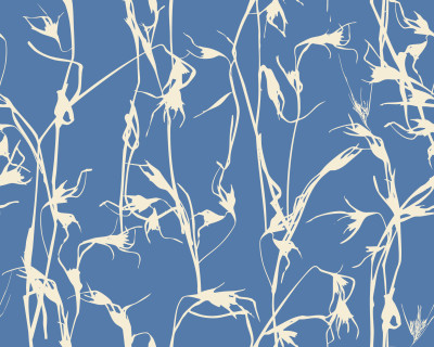 Kangaroo Grass - cream whisper on blue
