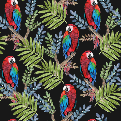 Jungle Macaw