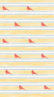Stripes & Birds