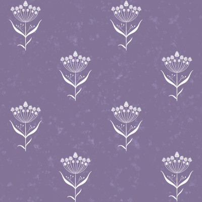 Chromolaena-Purple