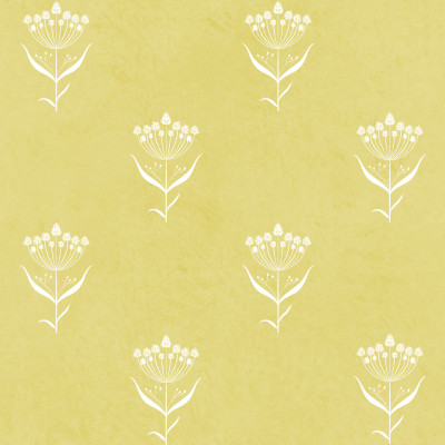 Chromolaena-Yellow