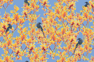 wattle bird in yellow kangaroo paw