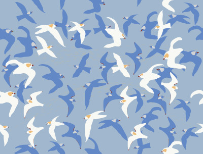 blue & white birds