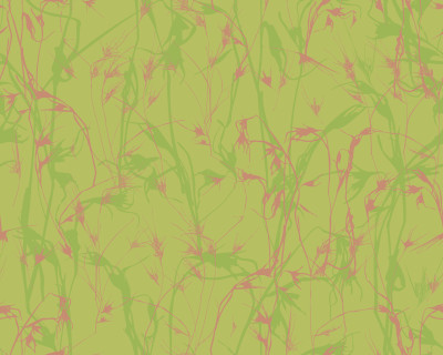 Kangaroo Grass with Whisper - blush on Spring green
