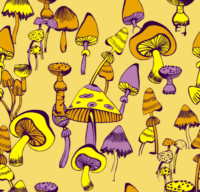 Funny mushrooms