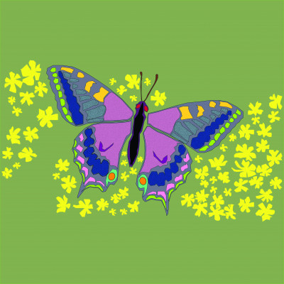 ButterflyFlora
