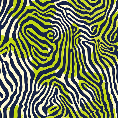 lime zebra