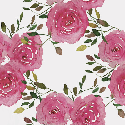 Pink rose
