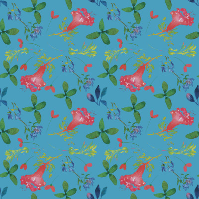 Wild flowers