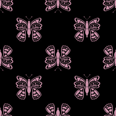 Apollo butterfly
